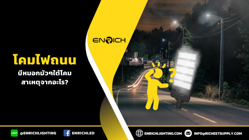 หมอกขาวใต้โคมไฟถนนสาเหตุจากอะไร?